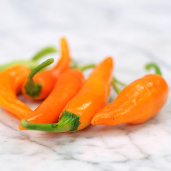 Pepper, Hot Thai Yellow Chili Friends School Plant Sale