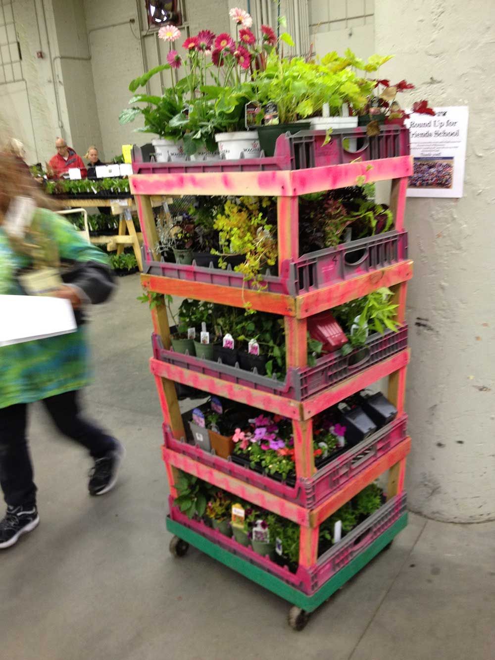 Fluorescent pink vertical shelves with wheels, full of plants