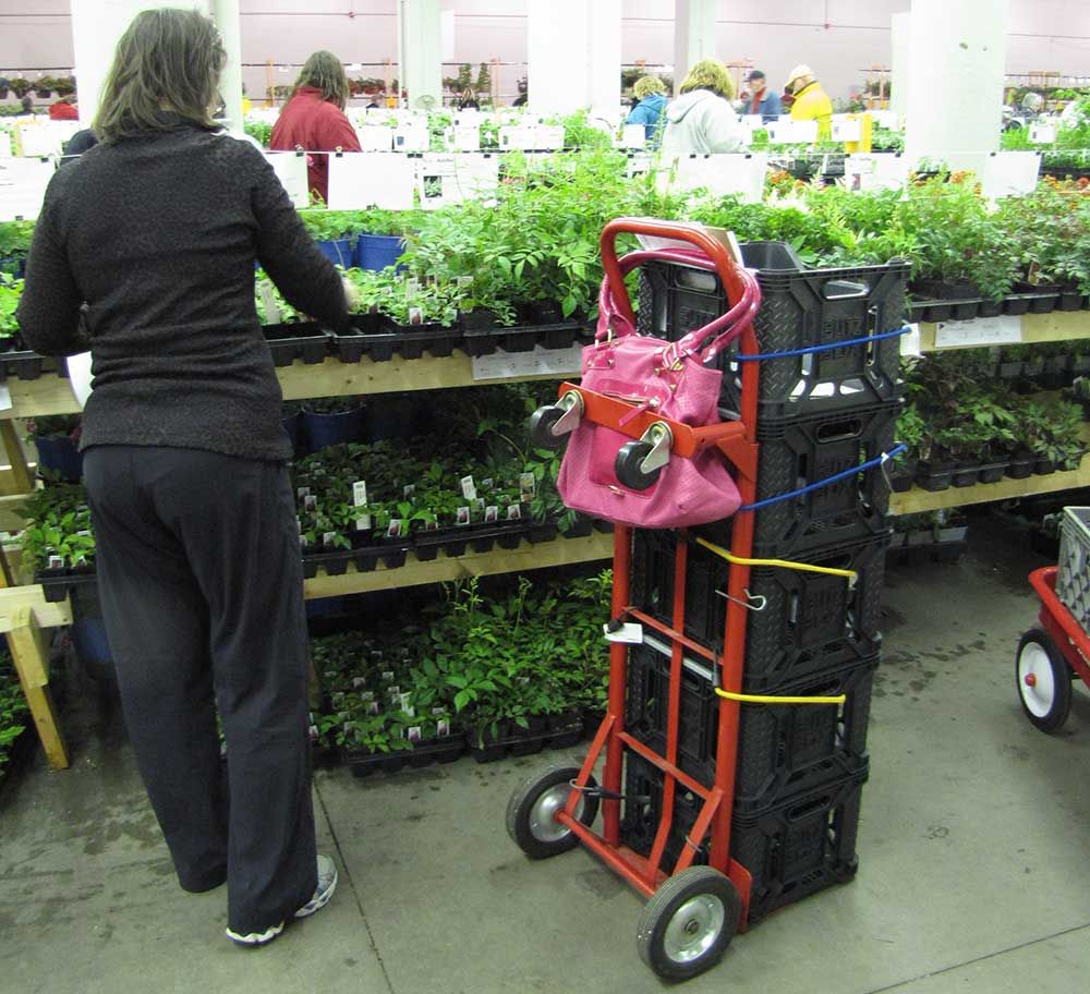 Hand cart, vertical, with milk crates attached with stacked bungee cords