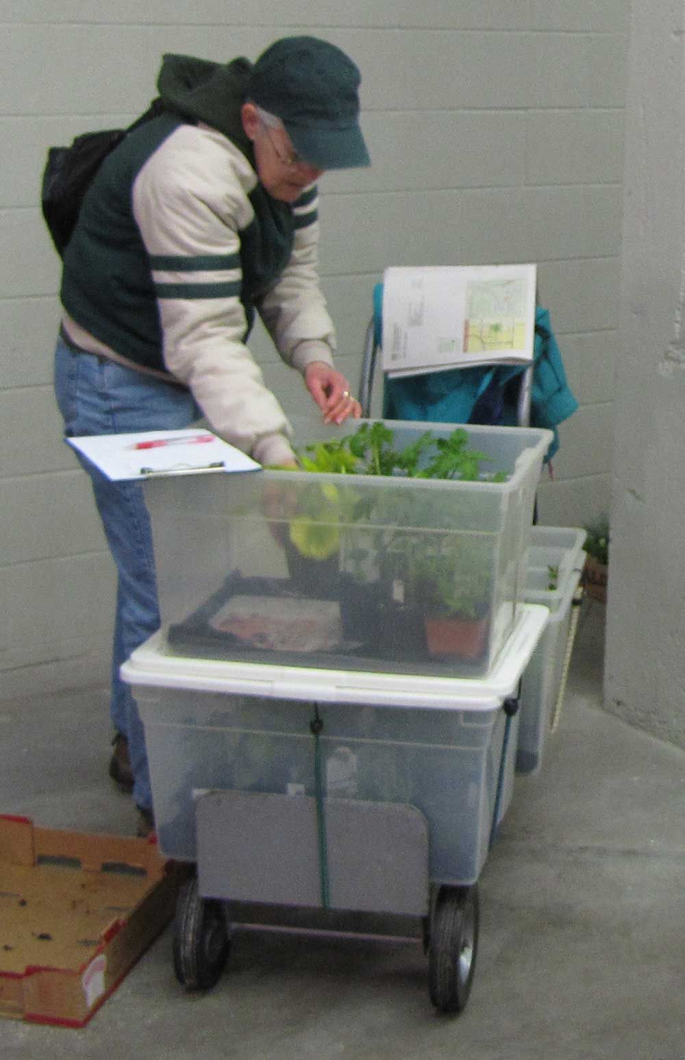 Clear plastic bins bungeed to a hand cart turned horizontally