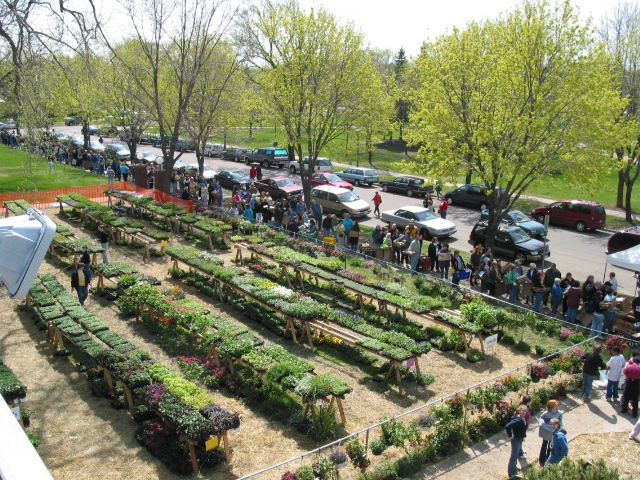 Tables full of plants and a line of people stretching down the block into the distance