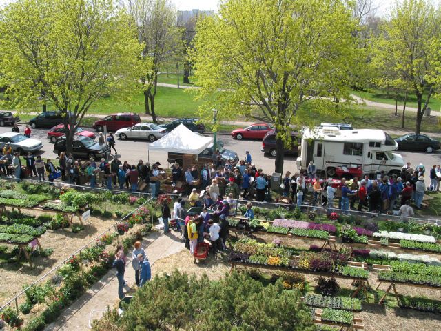 Cars and an RV parked with tables full of plants in the foreground