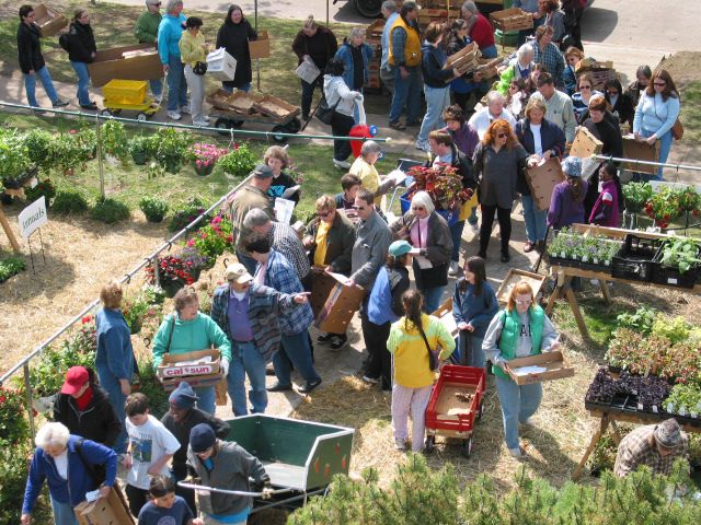 People with boxes streaming into the plant sale