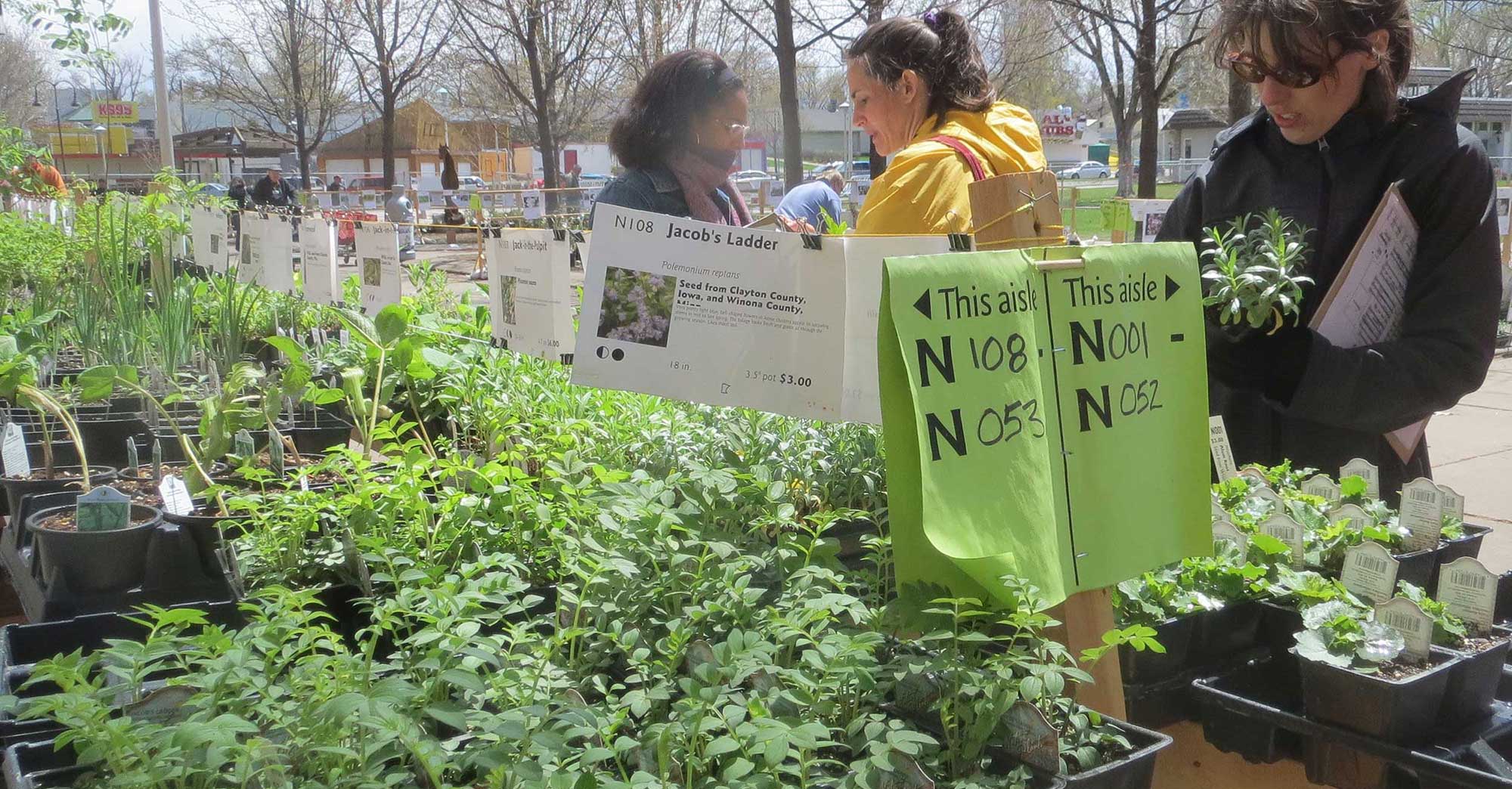 People shopping for plants outside