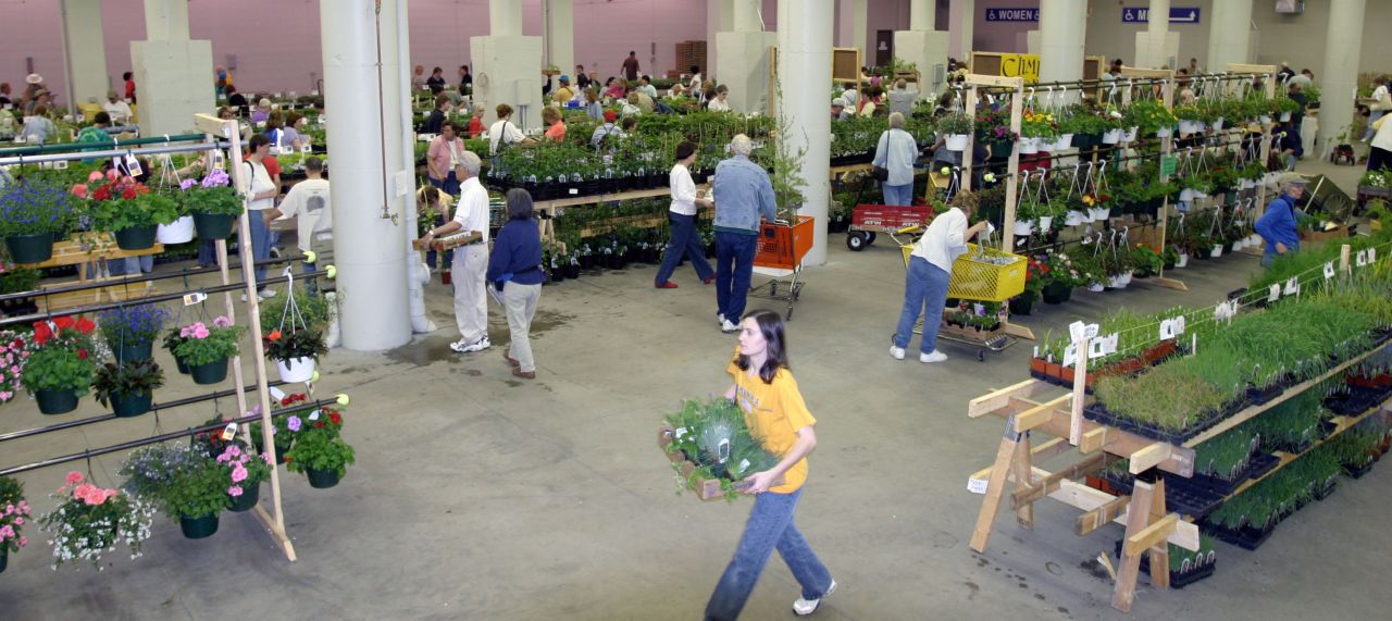 Plants and shoppers inside the Grandstand