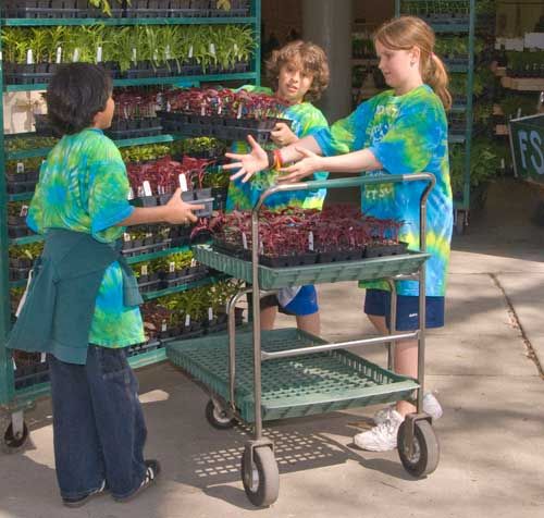 Three middle school-age kids in tie-dye shirts with trays of plants