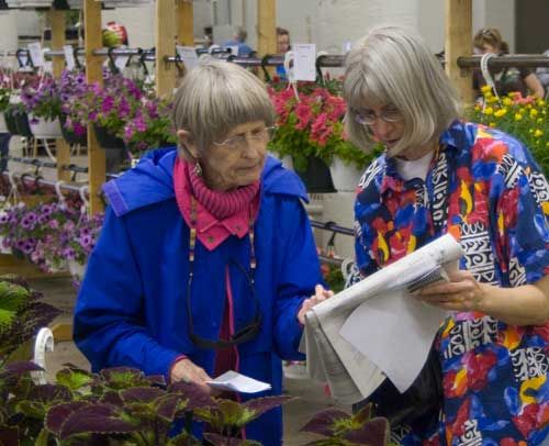 Two women, one older looking than the other, discuss something in a printed newspaper catalog in front of colorful hanging baskets 