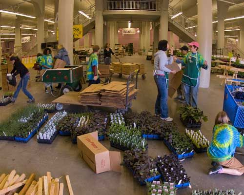 Many trays of plants on the floor of a large building with people in tie dye shirts walking and standing around them