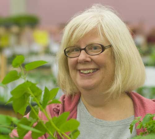 Smiling woman very happy looking with arms full of plants