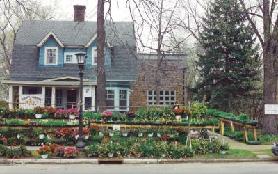 Plants lined up in front of the Twin Cities Friends Meeting House