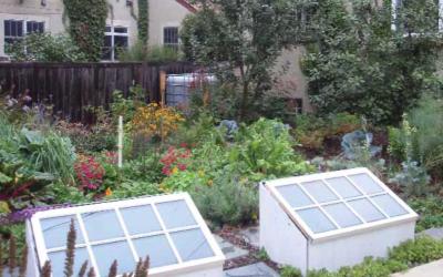 A back yard garden designed with permaculture principles