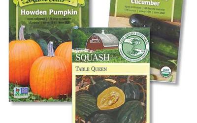 Three seed packets for pumpkins, cucumber and squash