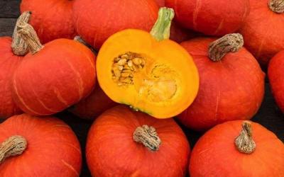 Orange winter squash in a pile