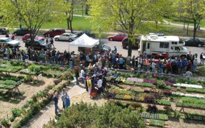 Plants and people along a street sidewalk, parked cars and an RV