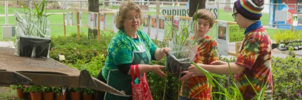 volunteers receiving plants