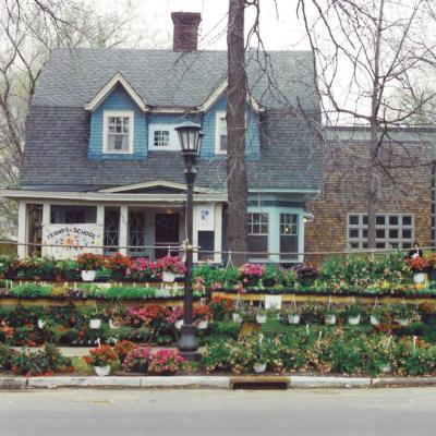 Plants lined up on the curb in front of the Twin Cities Friends Meeting House