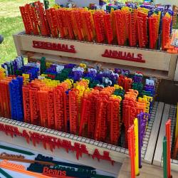 Plastic plant sticks in primary colors