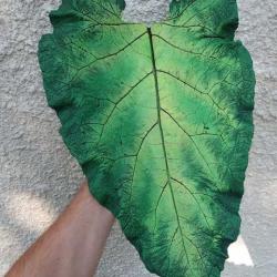 Huge green leaf, cast from concrete
