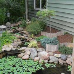 Peaceful-looking water garden