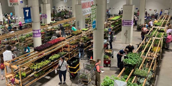 Photo taken from above, showing many people shopping at many long wooden tables full of plants