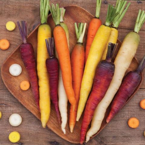 Starburst Blend carrots, thin carrots in yellow, white, purple and orange