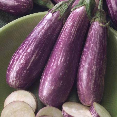 Fairy Tale eggplants, narrow with purple and white striations