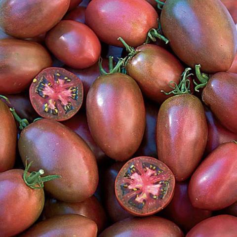 Ukrainian Purple tomato, elongated purplish red tomatoes