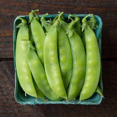 Pisa Blizzard Snow, green snow peas