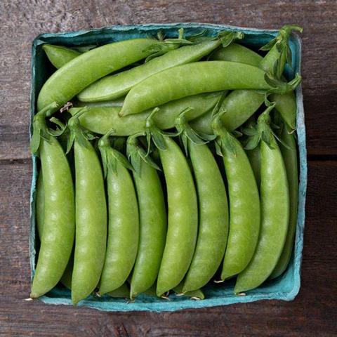 Pisa Sweet Gem, curved green snap peas