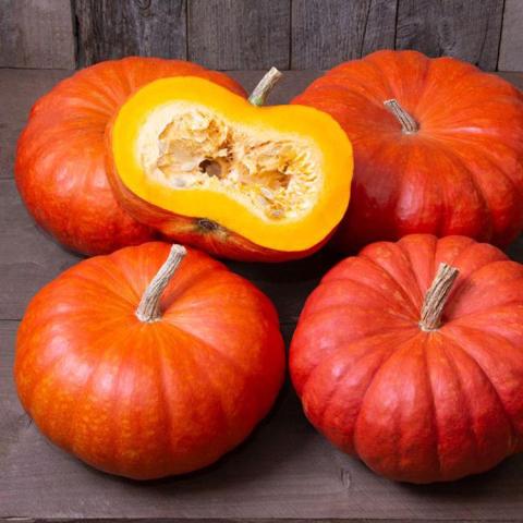 Cucurbita Cinderella, flattened dark orange pumpkins