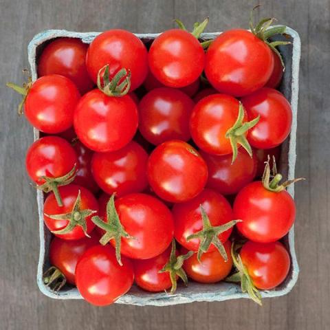 Tomato Sweetie, red cherry tomatoes