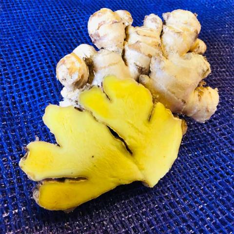 Zingiber Yellow Peruvian, tan ginger roots with bright yellow inside