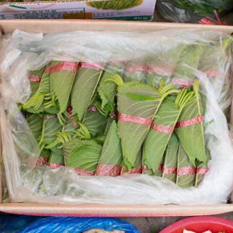 Kkaennip Korean, rolls of green leaves in a tray