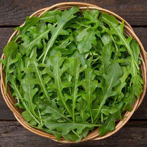 Arugula Bellezia, long narrow green toothed leaves in a basket