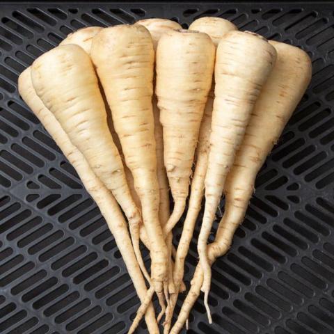 Lancer parsnips, white roots that look like carrots except for color