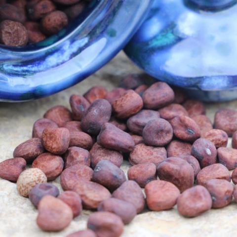 Bill Jump's Soup Peas, large irregular reddish brown dried peas 