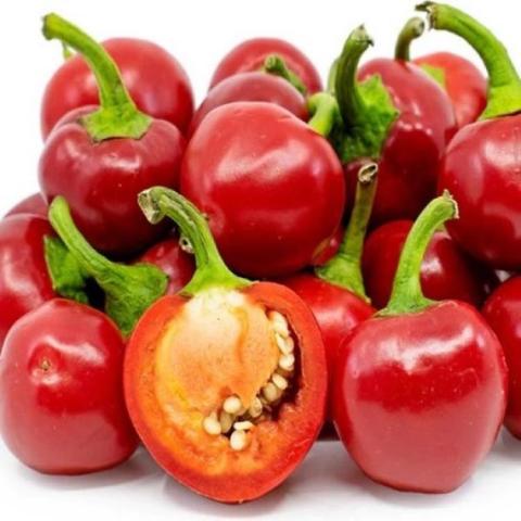 Cherry Bomb peppers, small round bright red and shiny peppers