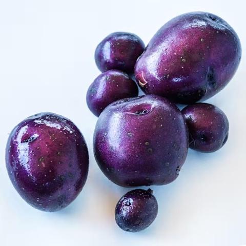 Huckleberry Gold potatoes, round to oblong dark purple potatoes