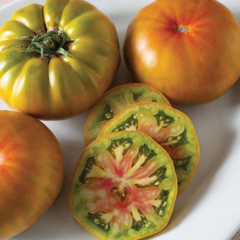 Woodstock tomato, large rainbow tomato (gold orange green) inside and out