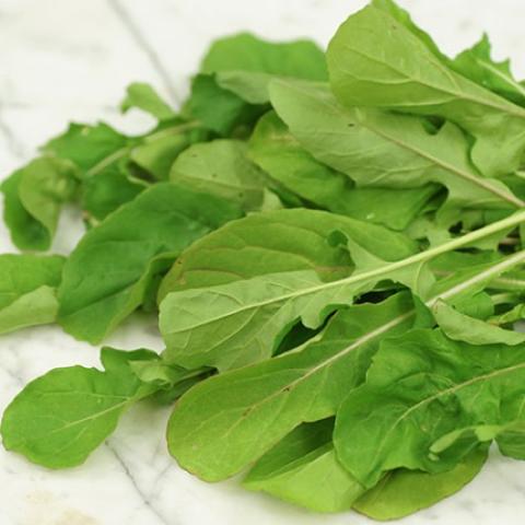 Green arugula leaves