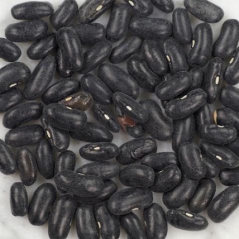 Henderson's Black Valentine beans, black shiny beans