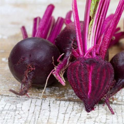 Bull's Blood beets, dark purple-red