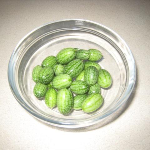 Bowl of cuke nut fruits.