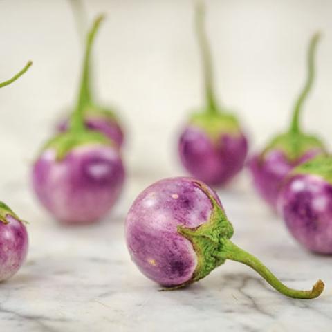 Thai Lavender Frog Egg eggplant, small round purple and white