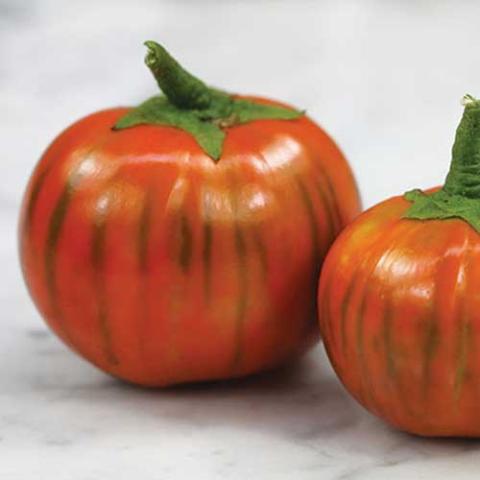 Turkish eggplant, red and round with darker stripes