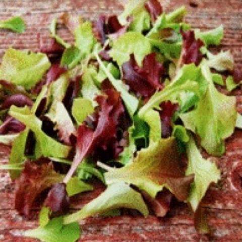 Mixed salad greens and reds