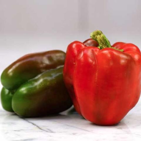King of the North pepper, red bell, dark green bell