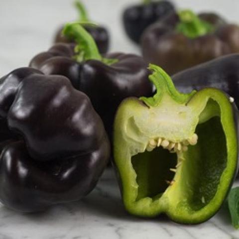 Midnight Dreams peppers, very dark