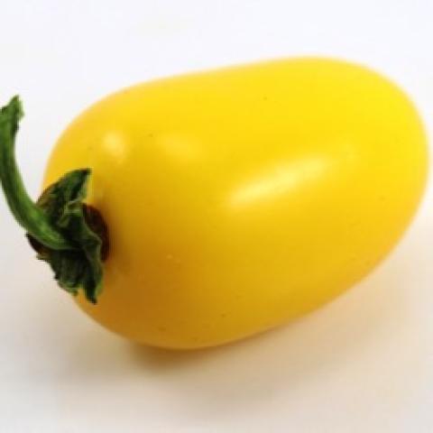 Numex Lemon Spice pepper, short bright yellow pepper