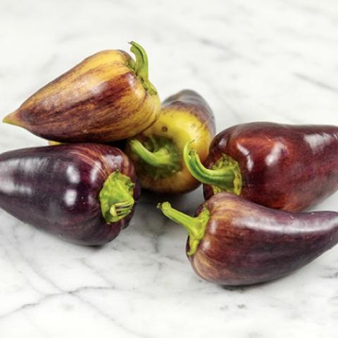 Violet Sparkle peppers, pointed, dark purple with some gold